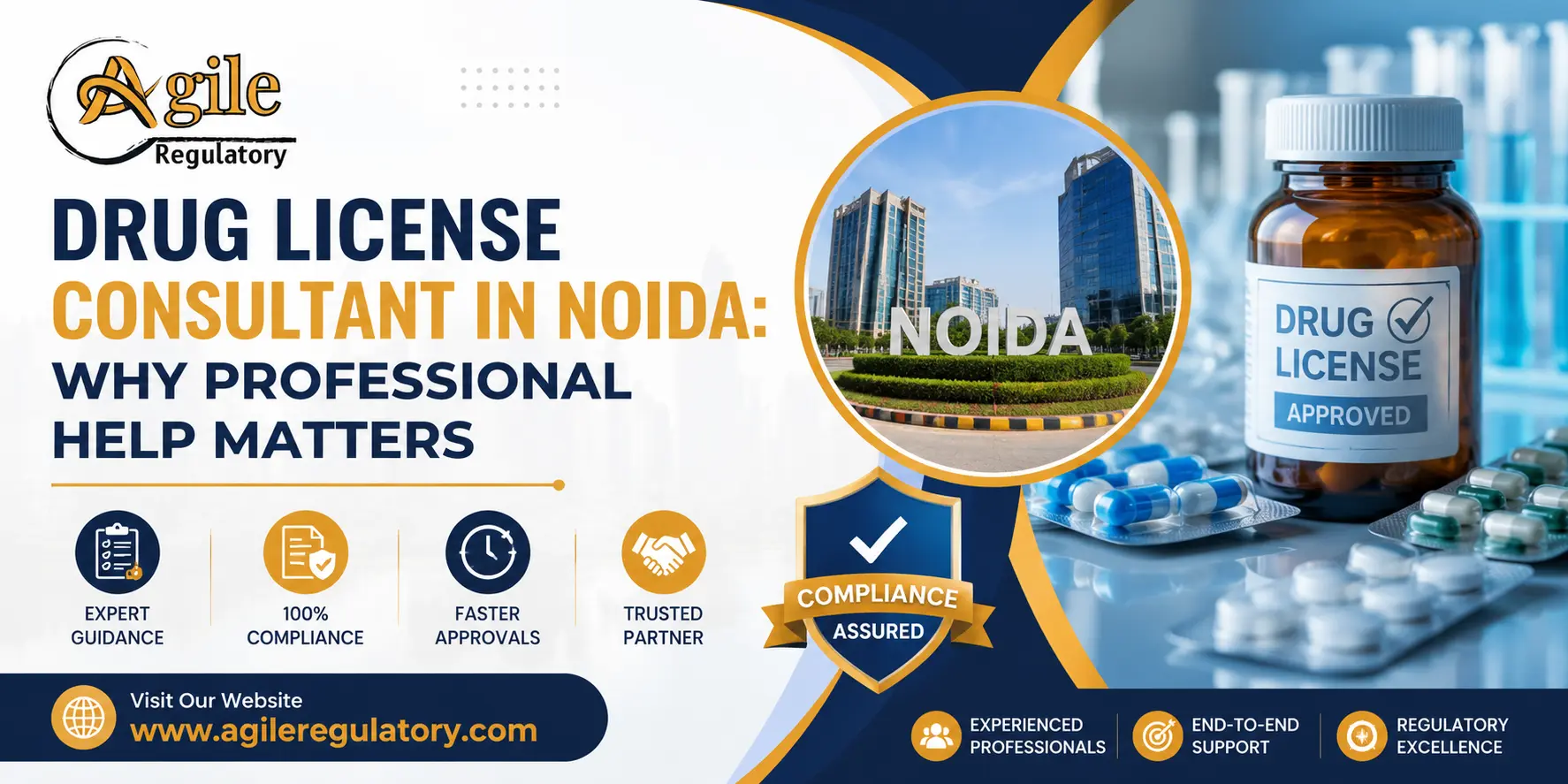 Drug License Consultant in Noida: Why Professional Help Matters
