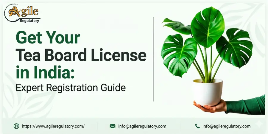 Get Your Tea Board License in India: Expert Registration Guide