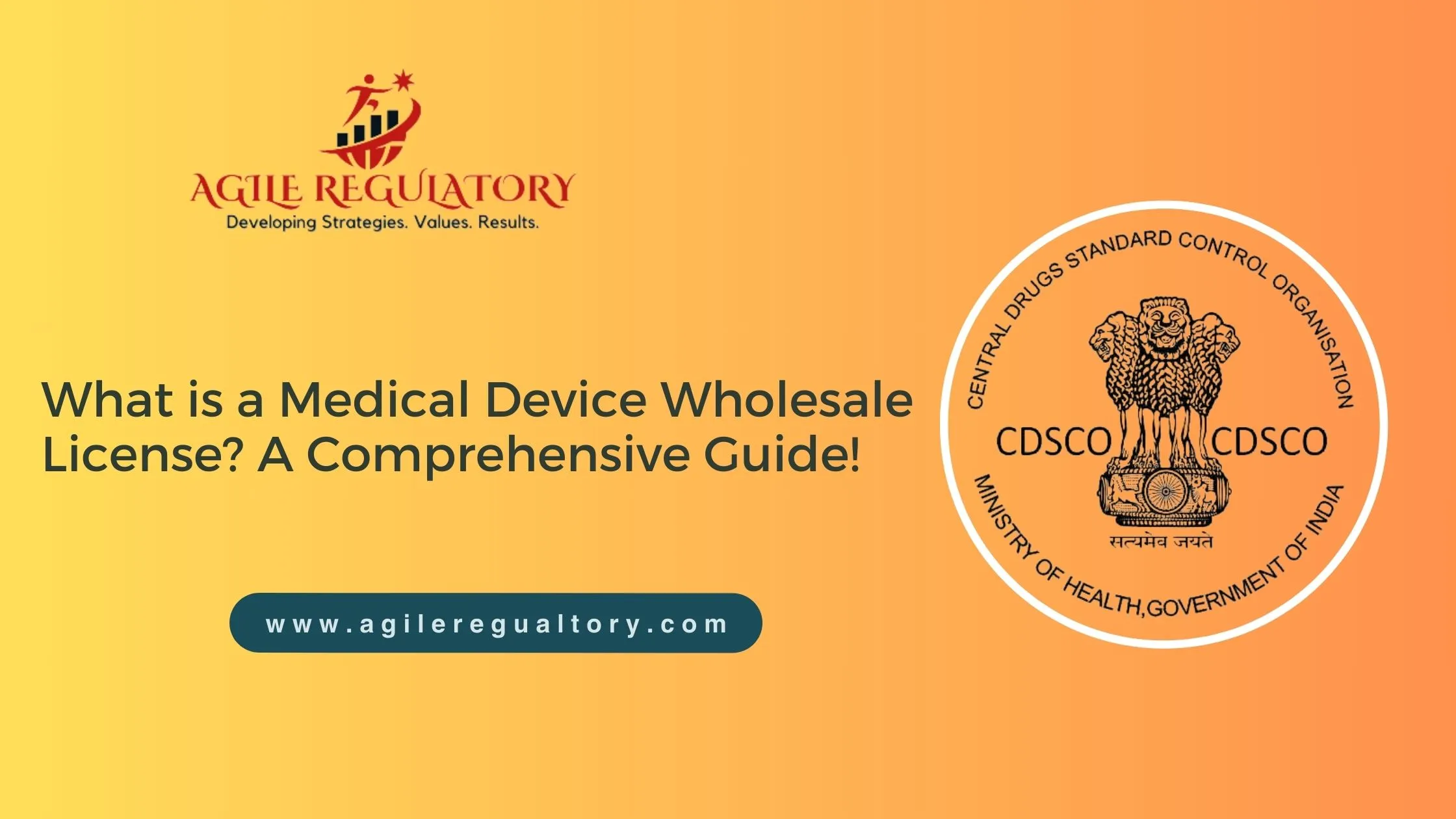 What is Medical Device Wholesale License?