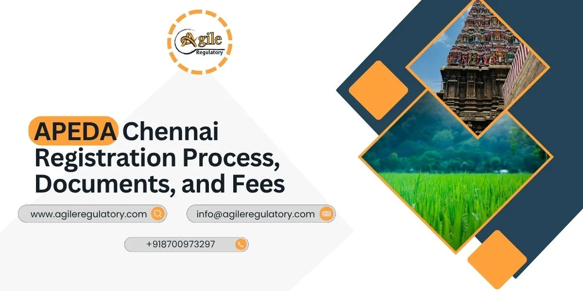 APEDA Chennai Registration Process, Documents, and Fees