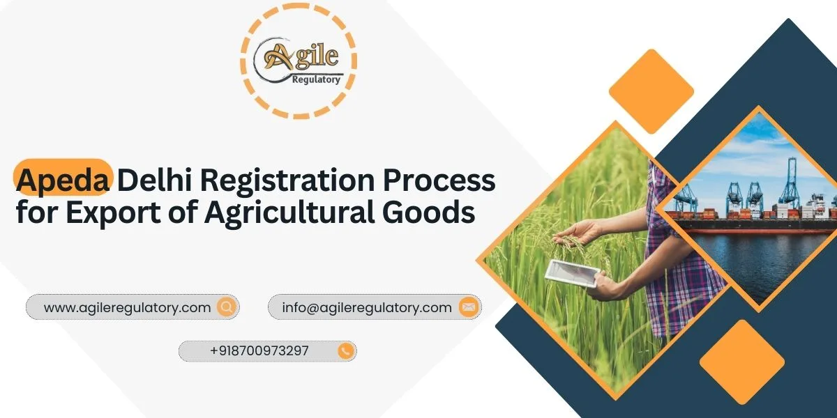 APEDA Delhi Registration Process for Export of Agricultural Goods