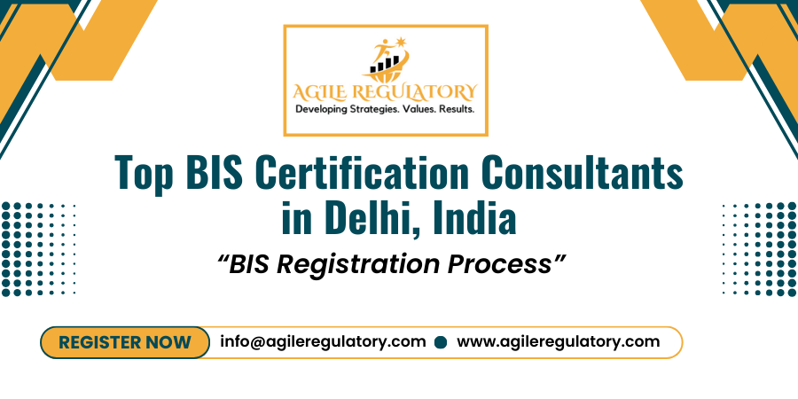 BIS Consultant in Delhi