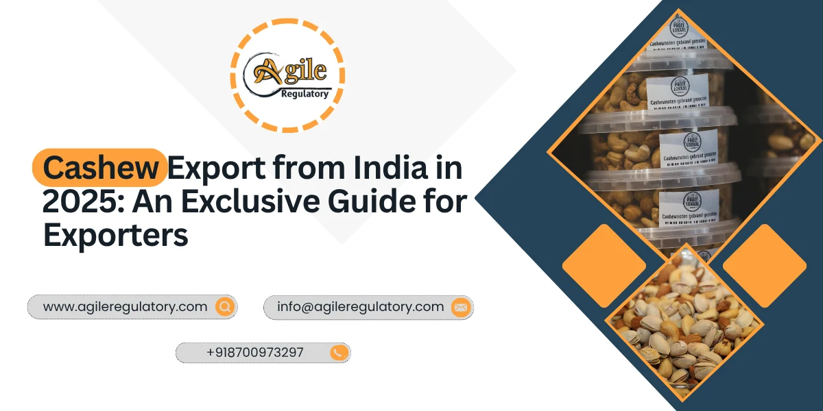 Cashew Export from India in 2025: An Exclusive Guide for Exporters (CEPCI)