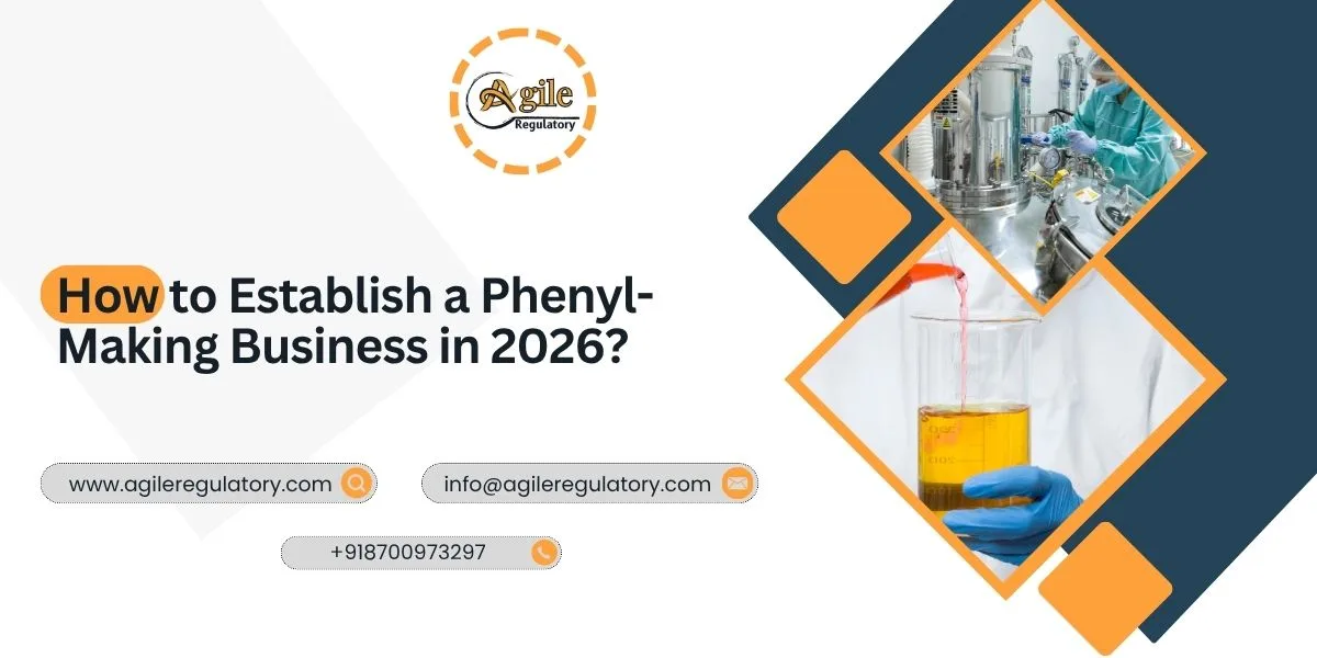 How to Establish a Phenyl-Making Business in 2026?