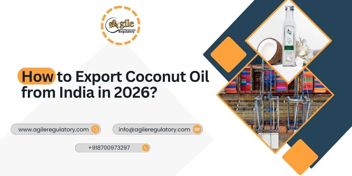 How to Export Coconut Oil from India in 2026?