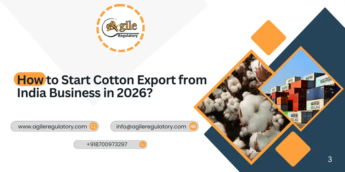 How to Start Cotton Export from India Business in 2026?