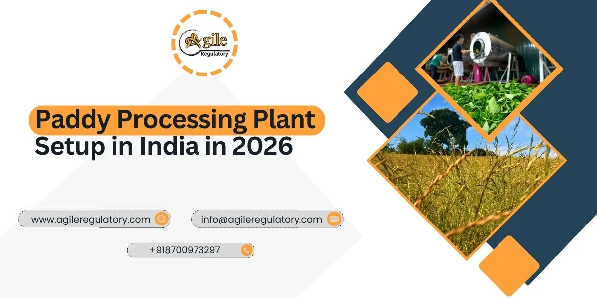 Paddy Processing Plant Setup in India in 2026 | Documents, Process, and Fees