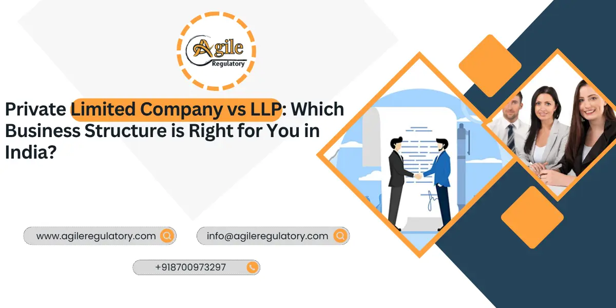 Private Limited Company vs LLP: Which Business Structure is Right for You in India?
