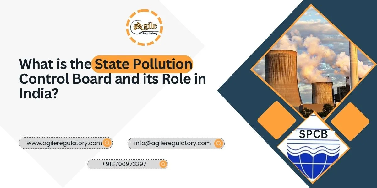 What is the State Pollution Control Board and its Role in India?