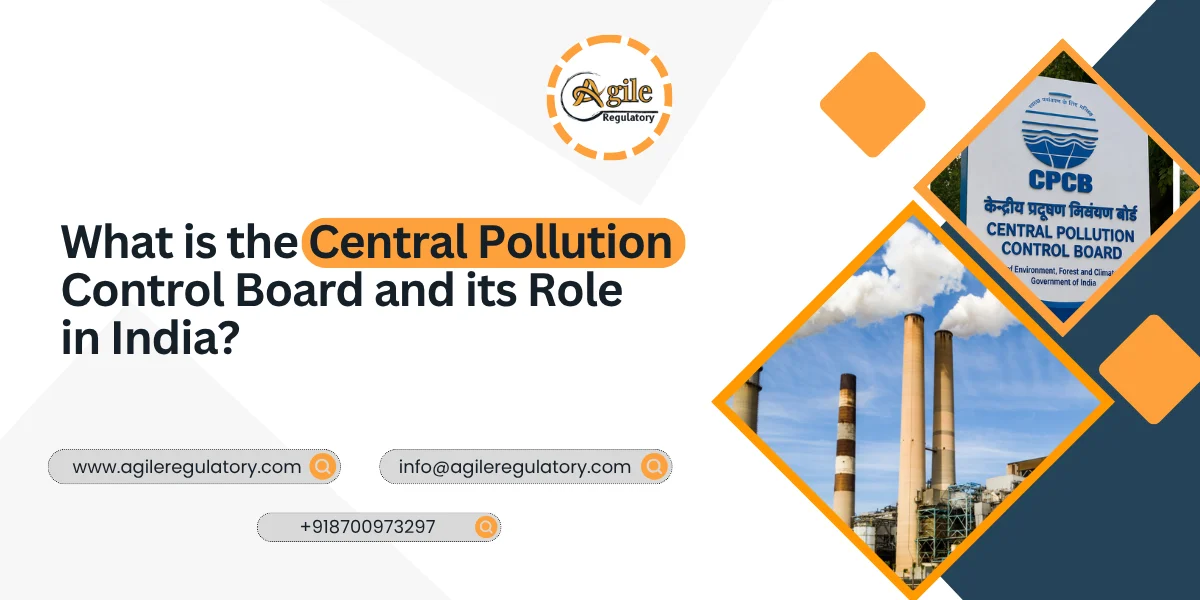 What is the Central Pollution Control Board and its Role in India?