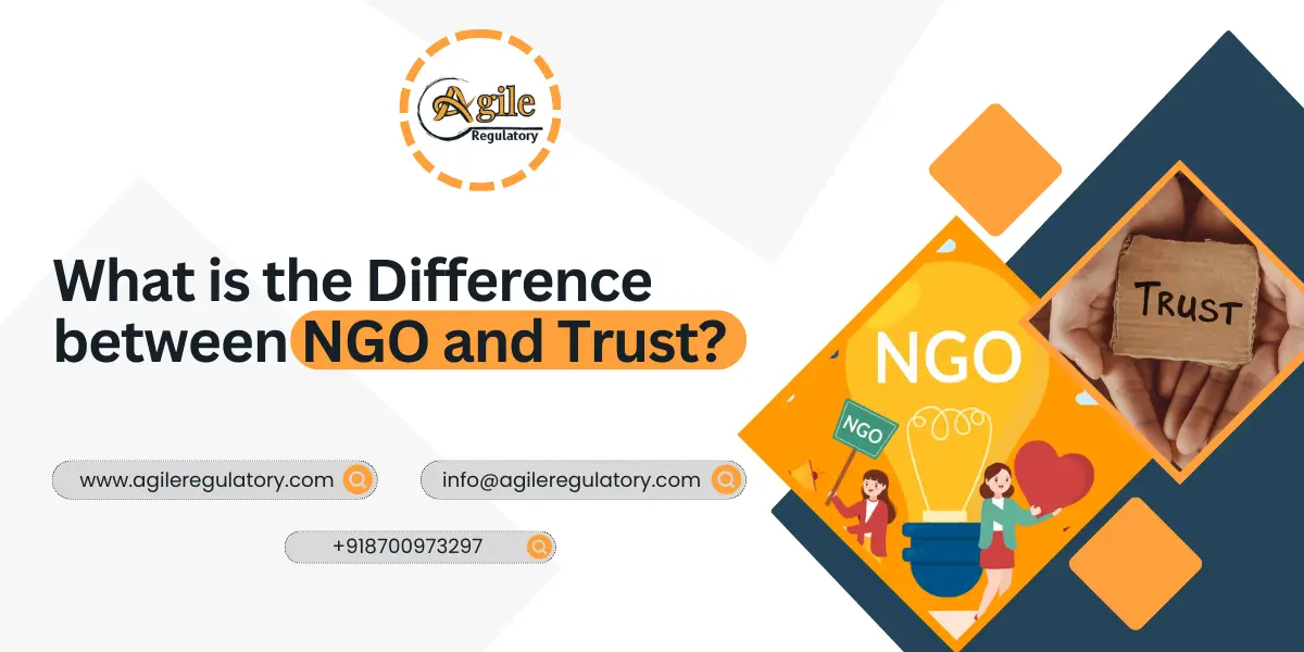 What is the Difference between NGO and Trust?